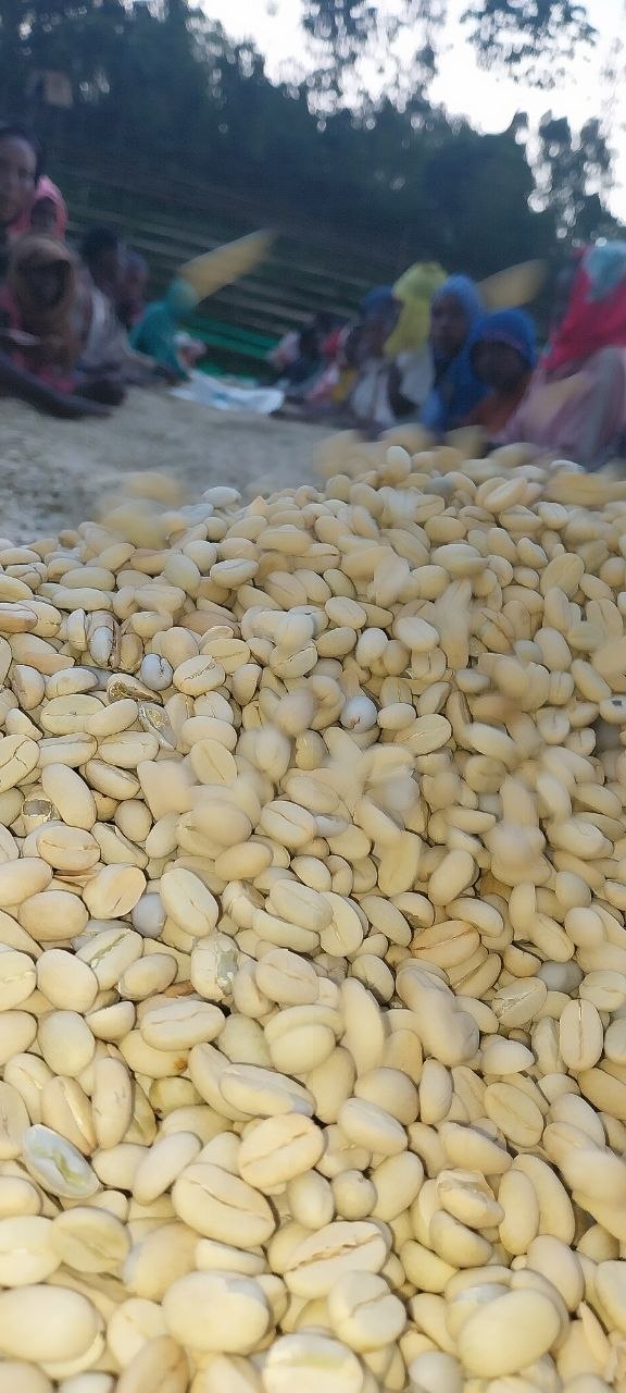 Washed Parchment Curing